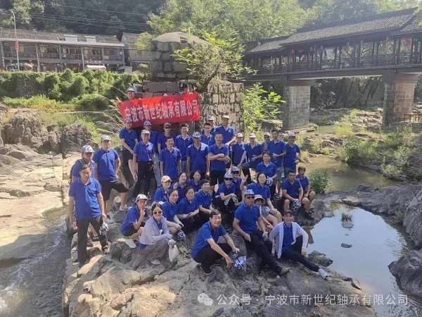Ningbo New Century Bearing Co Ltd Ningbo New Century Bearing Co Ltd